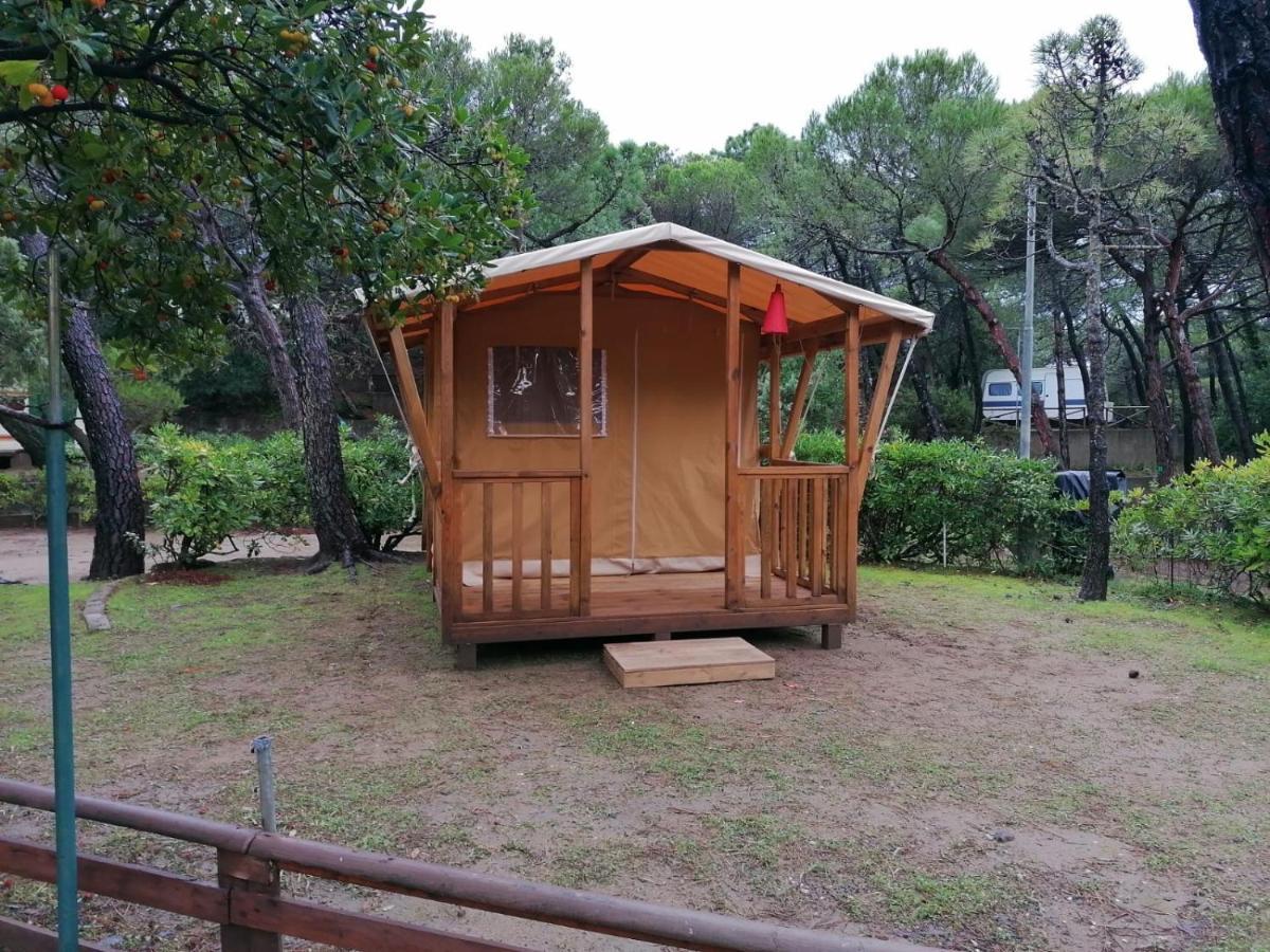 Camping Continental Marina di Castagneto Carducci Luaran gambar